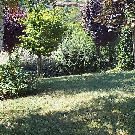 Segni Di Langa * Roddi