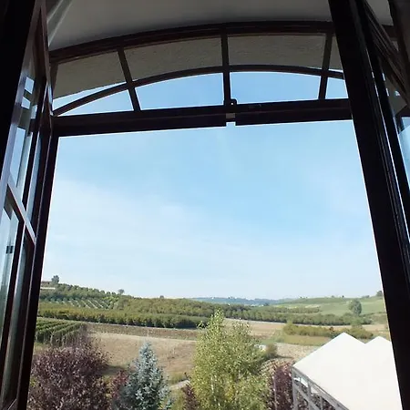 Segni Di Langa *